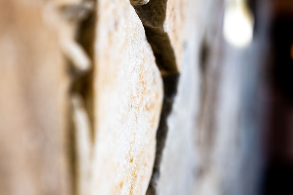 Dan Filmer Photographer-2512.jpg