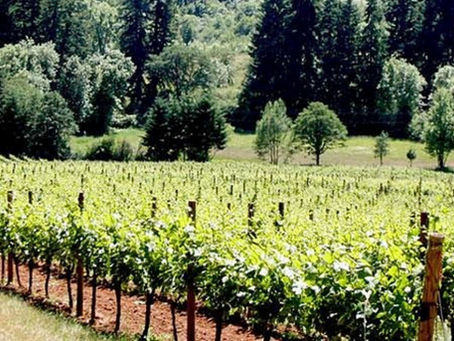 Sip, Savor, and Stay: Family Friendly Ways to Enjoy Eugene’s Ale & Wine Trails