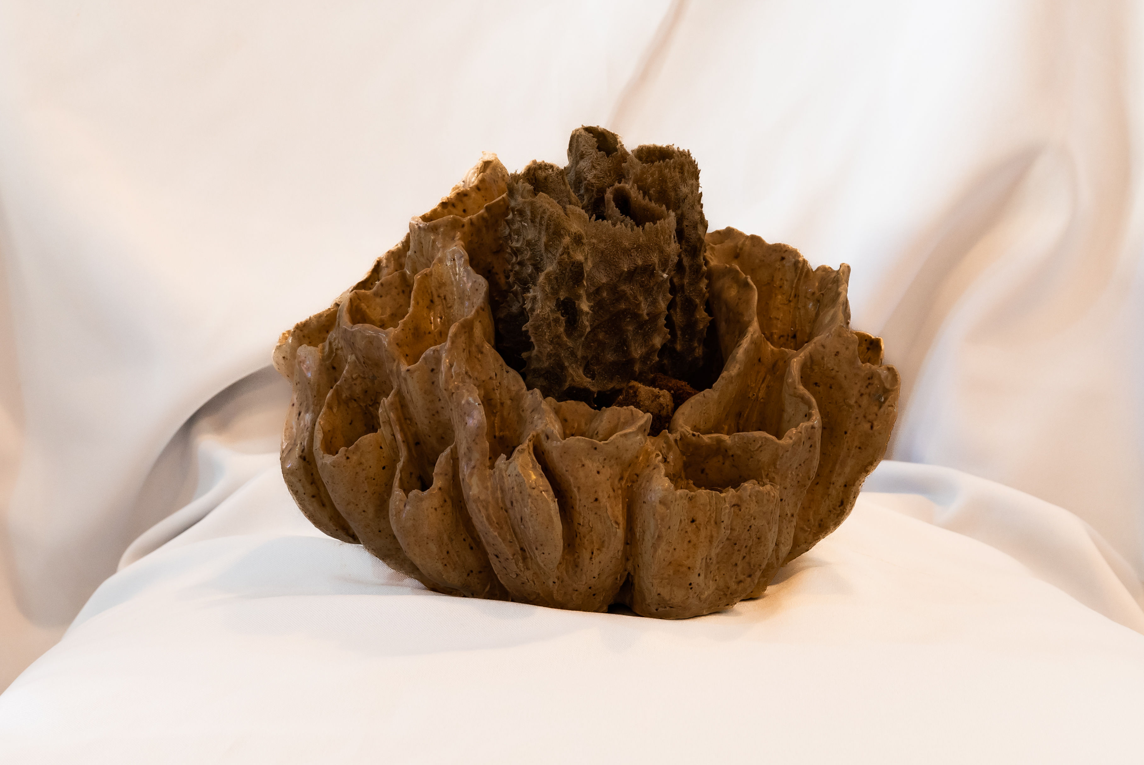 Sponge Creation by Marjon Wegman