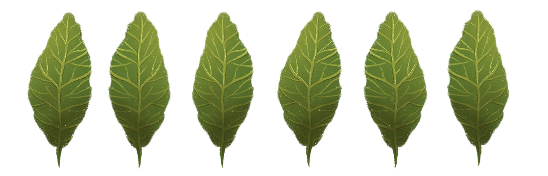 Ilustración_sin_título (7).png