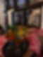 image00002.jpeg