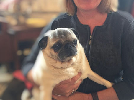 Vendor Profile: Traci & TootsUncommon