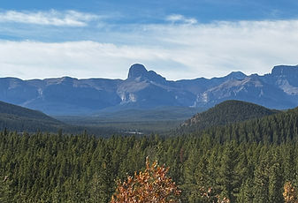 IMG_6257.JPG