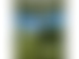 Our Latest Annual Report Is Out!