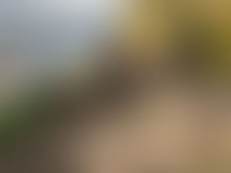 Restoring Balance Beneath The Surface