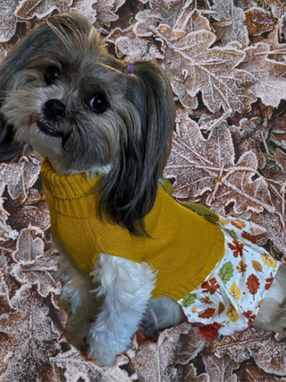 Cute Fall Dress with Leaves Print | Furry Pet Tails Cute Fall Dress with Leaves Print | Furry Pet Tails