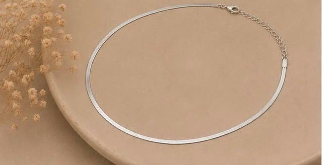 Evori Silver Snake Necklace
