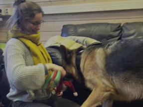 Kos med terapihund!
