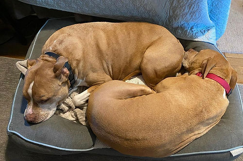 image_6487327 (3).JPG