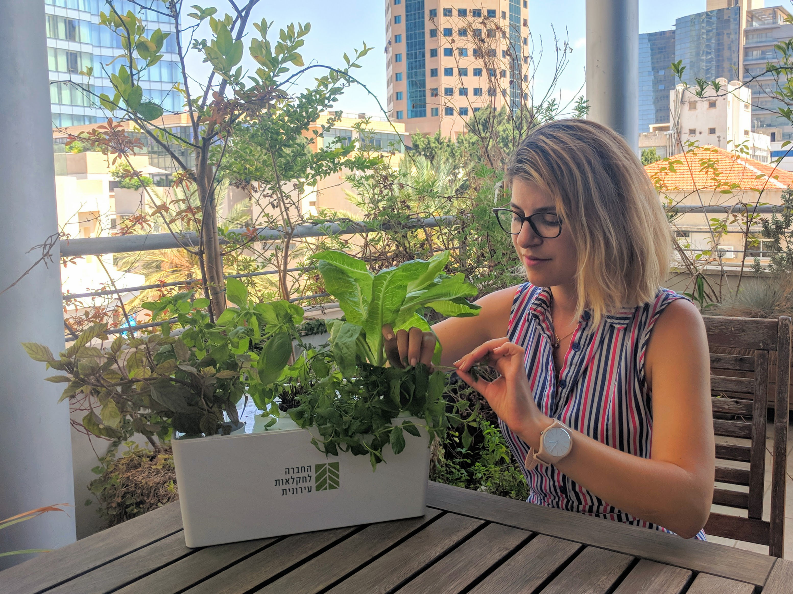 גינה הידרופונית לחקלאים רציניים