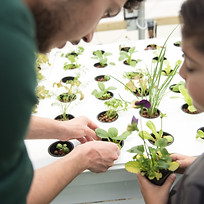 מוסדות חינוך