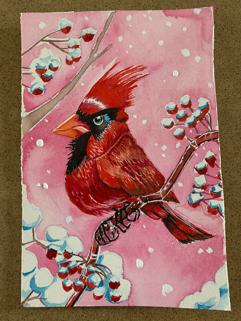 Thumbnail: 'Mildly Perturbed Cardinal', 5½" x 3½", 2026, watercolor and gouache, framed