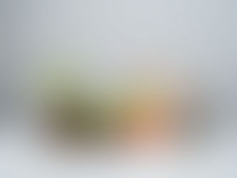 Regionaler Klimaschutz im Gebäudesektor