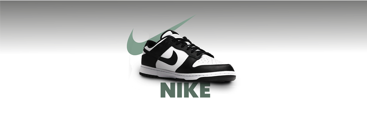 bannerNIKEgrande.png