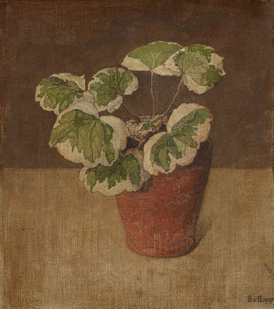 Schilderijen te koop Bertha van Hasselt te koop, stilleven van een Wierookplantje in pot of Swedish ivy, Jan Mankes tentoonstelling Museum Arnhem collectie Bremmer