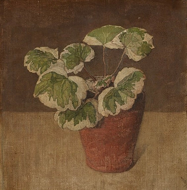 Still life of Dutch female artist Bertha van Hasselt for sale depicting a Swedish Ivy in a pot. 