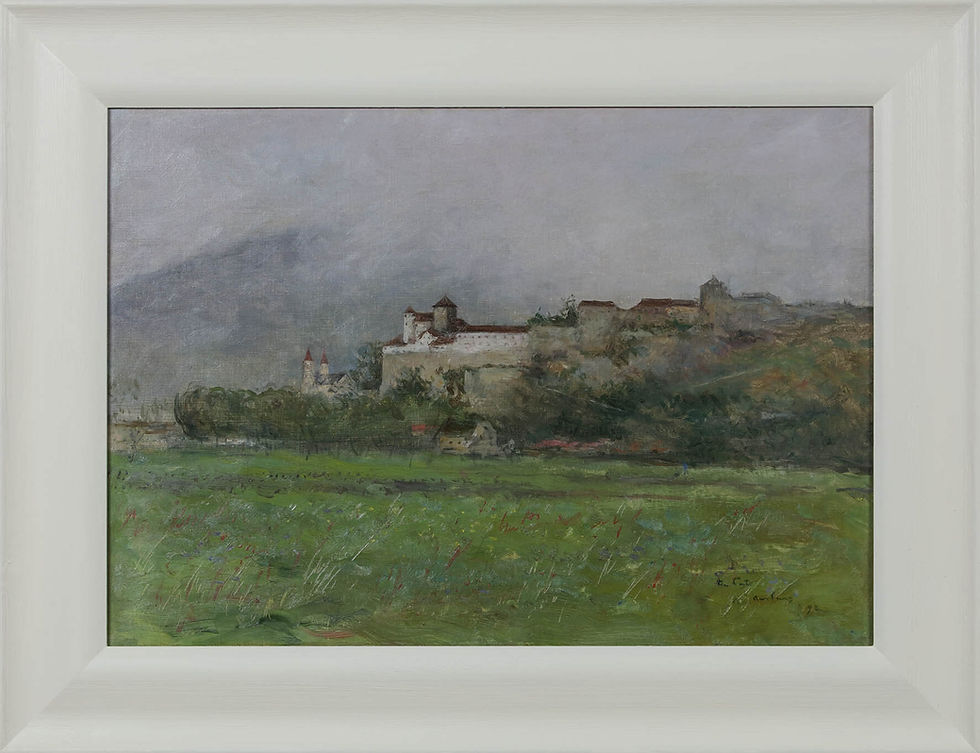Schilderij van Siebe ten Cate te koop, Gezicht op kasteel Aarburg, Zwitserland