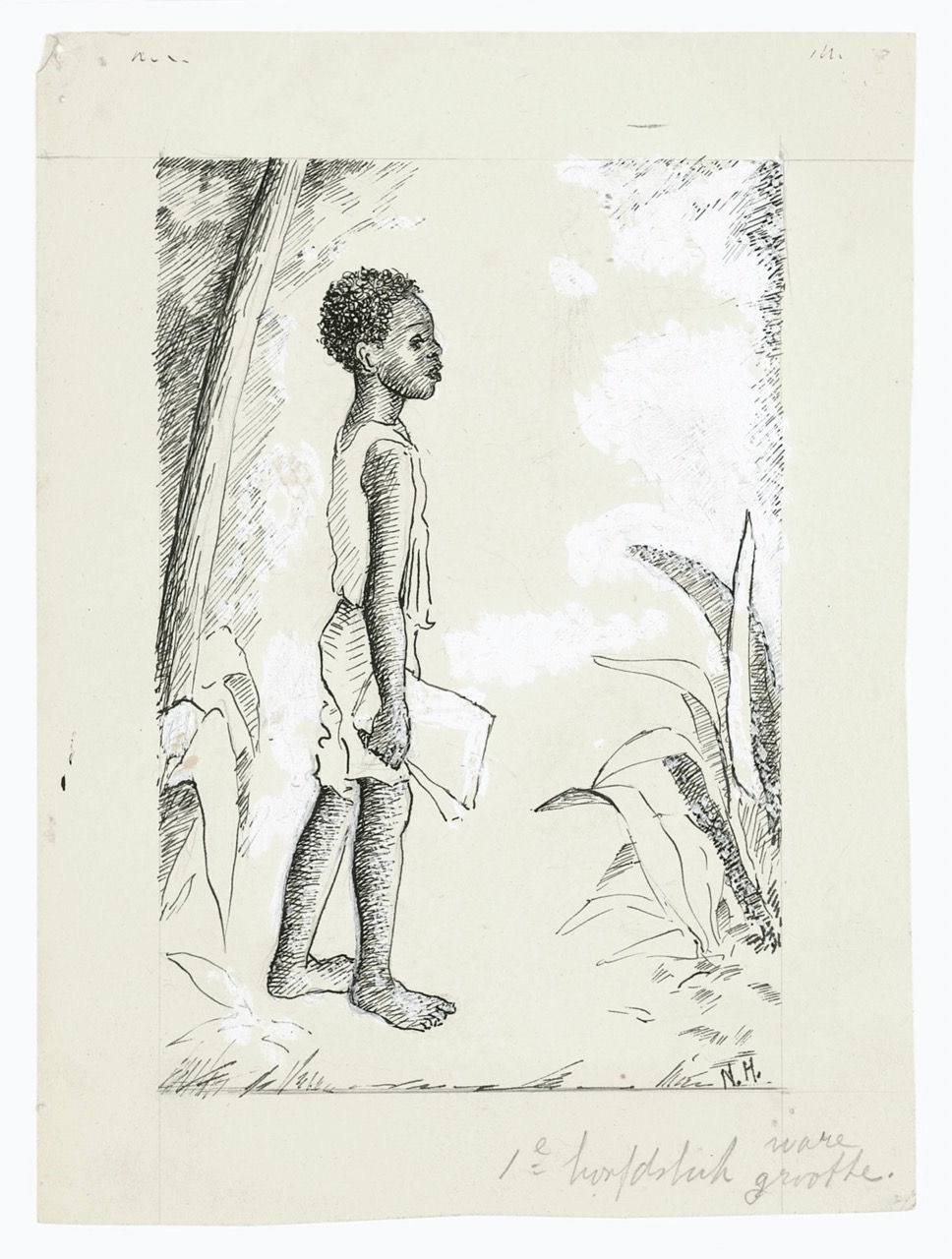 Tekening van Nola Hatterman te koop, jongeman