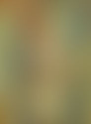 een schilderij van kunstschilder André Lhote uit 1929 van een zittende dame in kubistische stijl