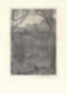 Kunsthandel Ets Jan Mankes Herfsttuin te koop, Mankes uitzicht op zijn tuin in Eerbeek