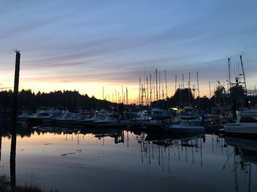 sunrise at harbour in Ucluelet