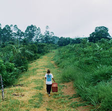 reflorestando de propósito