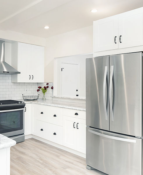 Home refrigerator repair service