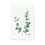 Thumbnail: Scandinavian Style Plants Green Leaves Decorative Picture