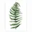 Thumbnail: Scandinavian Style Plants Green Leaves Decorative Picture