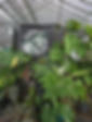 BA61371A-B127-4F15-A9AB-22CA2049F082_edited.jpg