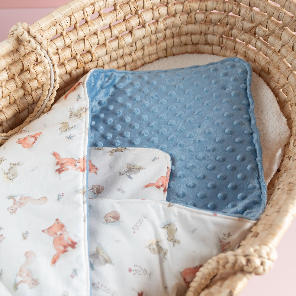 Miniature : Couverture cocon bébé motif renard avec intérieur minky bleu doux