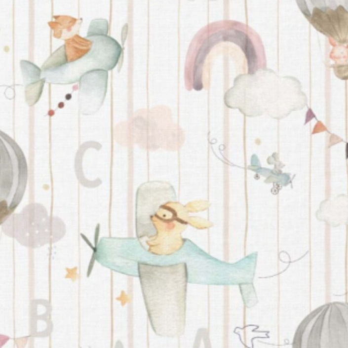 Miniature : Doudou lien bébé motif avion avec minky bleu