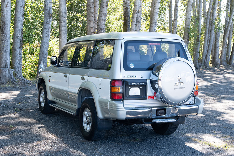 Thumbnail: 1994 Mitsubishi Pajero Super Exceed Wide