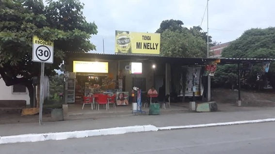 TIENDA MI NELLY