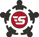 partenaires GSVI