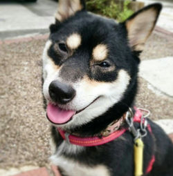 KakaoTalk_20160717_185248412