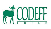 logo.jpeg