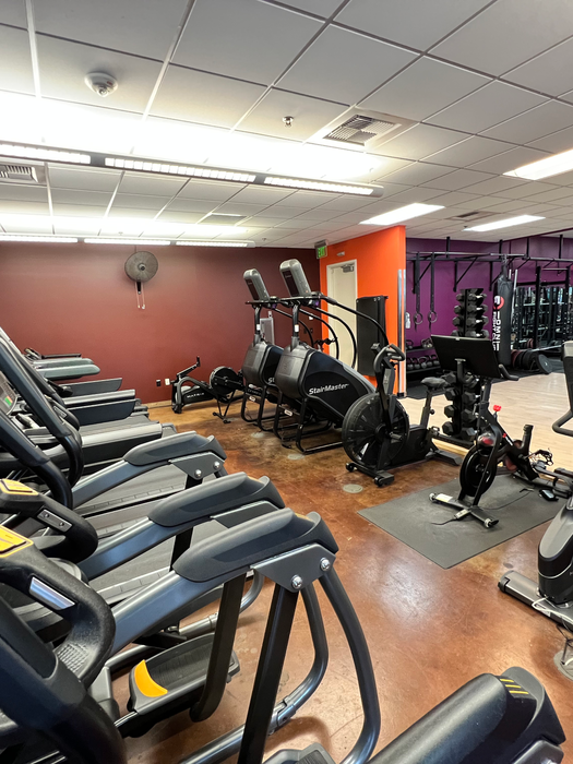 Cardio equipment at Ampersand Fitness including treadmills, recumbent bikes, stair climbers, and rowing machines in a well-lit gym space.