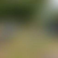 The Importance of Community (Especially when life feels heavy)