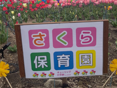 保育士・病児担当看護師募集中