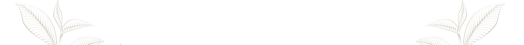 Group 152.png