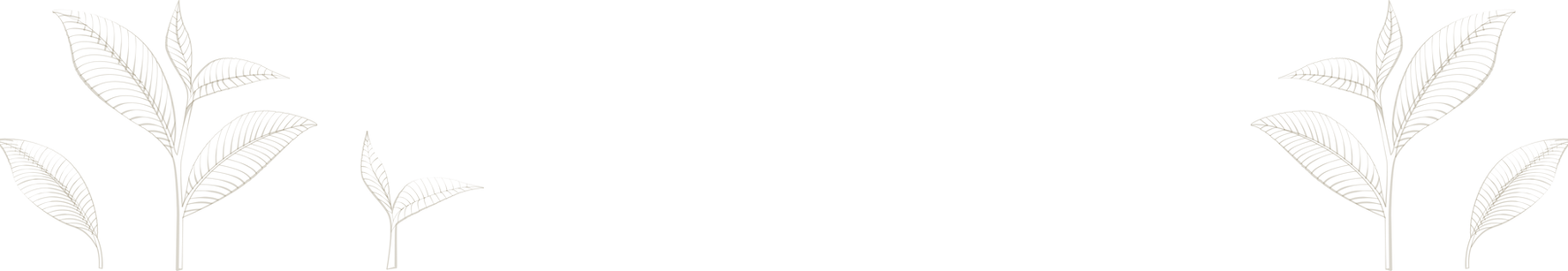 Group 152.png
