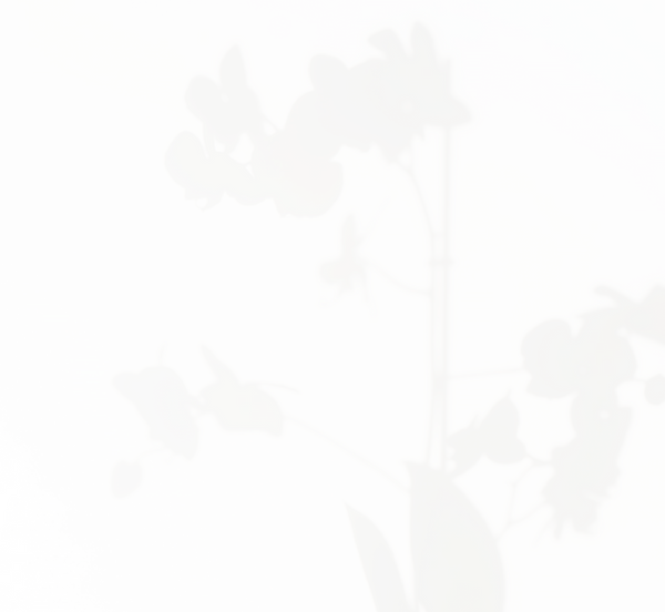 11123.png