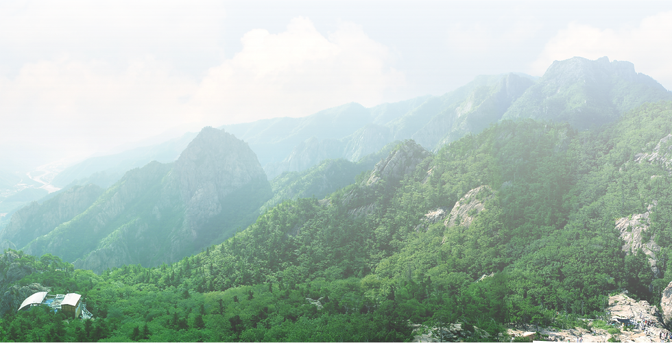 녹용 분골 배경.png