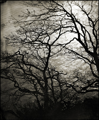 MHP_WetPlate_17.jpg