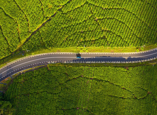 Tea Route-01.jpeg