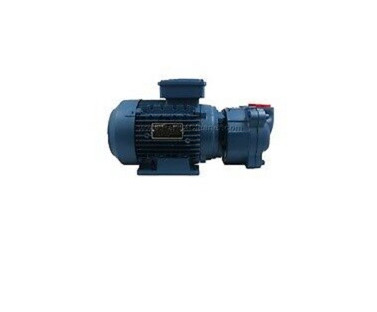 VACUUM PUMP MOTOR LIQUID COOLED Part PU071905 / Old M17726 / FMB 0719005