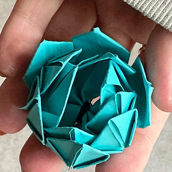 IMG_6326_edited.jpg