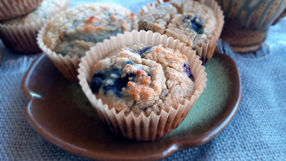 Paleo blueberry muffins