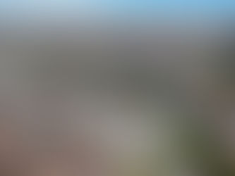 Güngören’de Güvenli ve Etkin Sağlık Hizmetleri: ALS Özel Ambulans